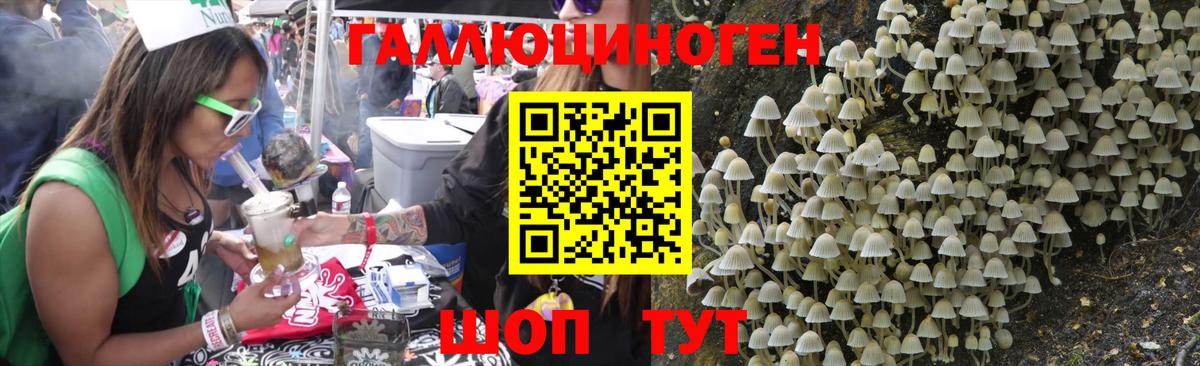 Псилоцибиновые грибы прущие грибы Златоуст